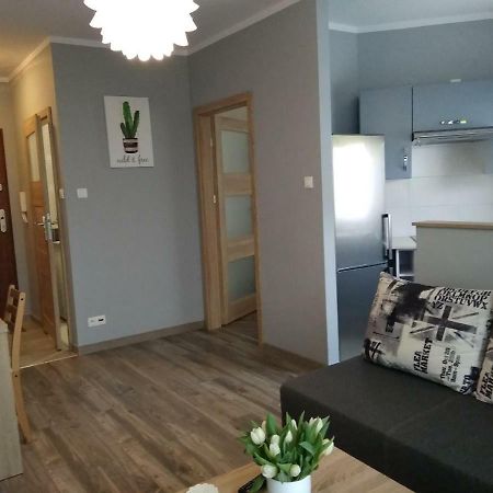 Apartmán Apartament Edelmana Gorzów Wielkopolski Exteriér fotografie