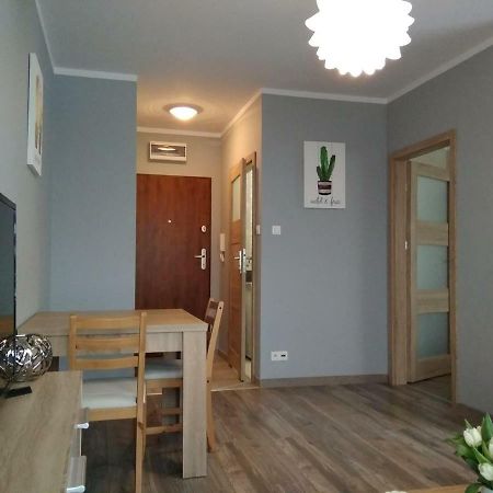 Apartmán Apartament Edelmana Gorzów Wielkopolski Exteriér fotografie