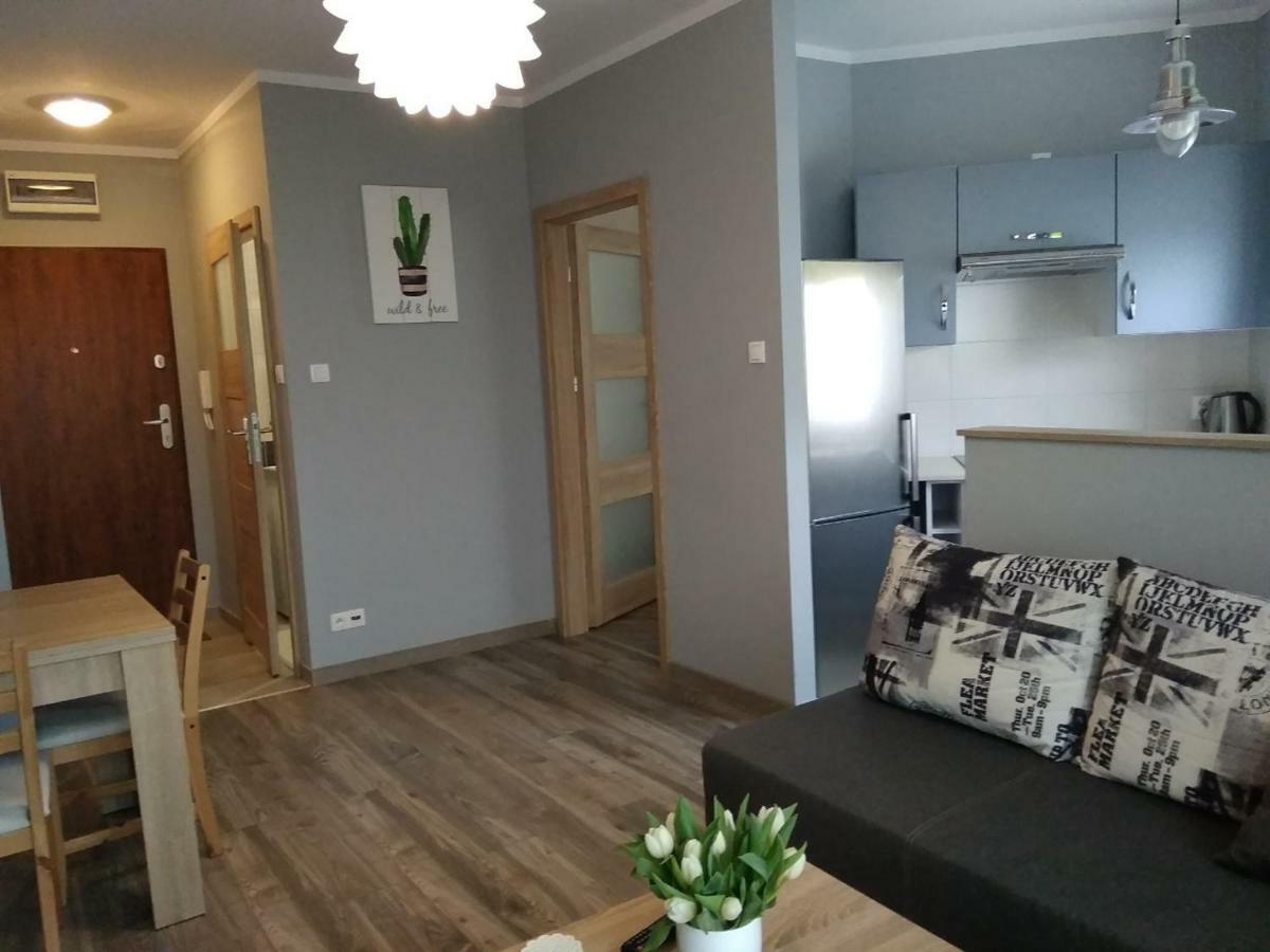 Apartmán Apartament Edelmana Gorzów Wielkopolski Exteriér fotografie